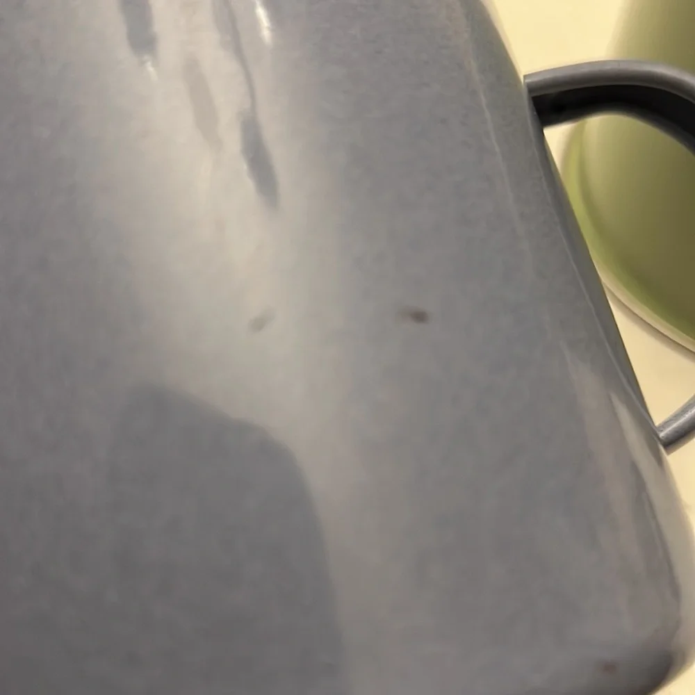 Pair of Pottery Barn Enamel Oversized Camper Mugs